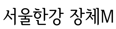 서울한강 장체M