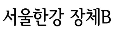 서울한강 장체B